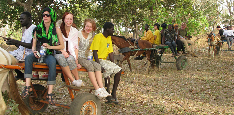 Donkey ride